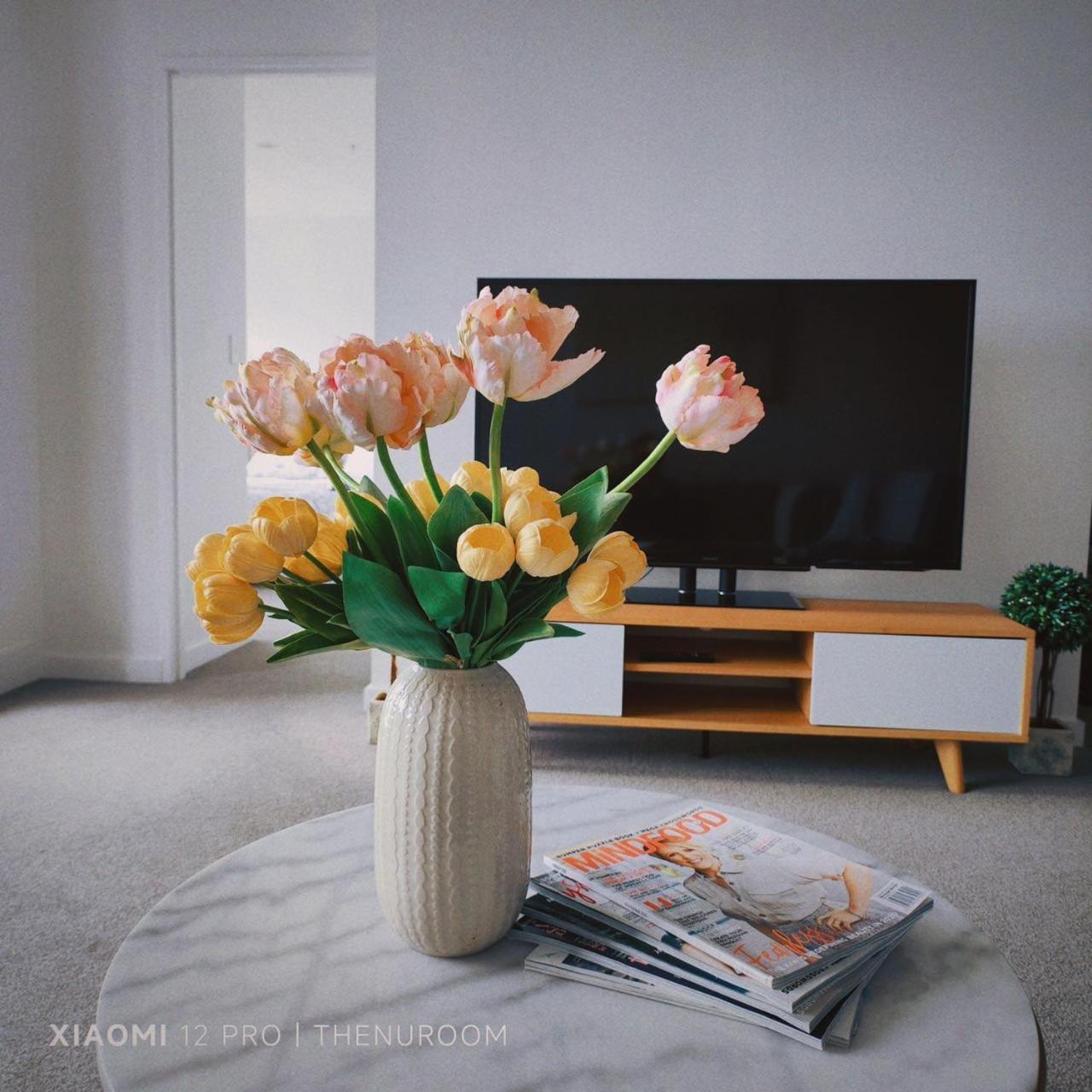 Auckland Birkenhead Bnb 外观 照片